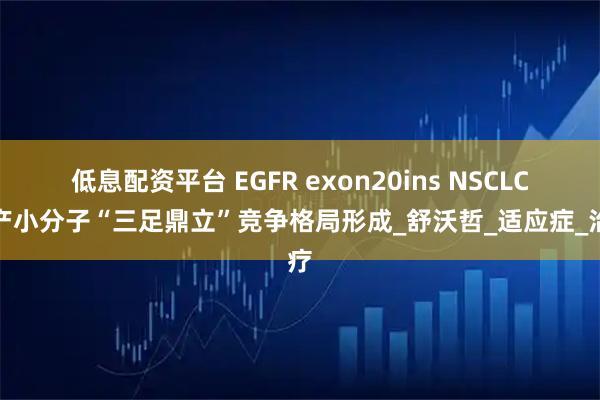 低息配资平台 EGFR exon20ins NSCLC国产小分子“三足鼎立”竞争格局形成_舒沃哲_适应症_治疗